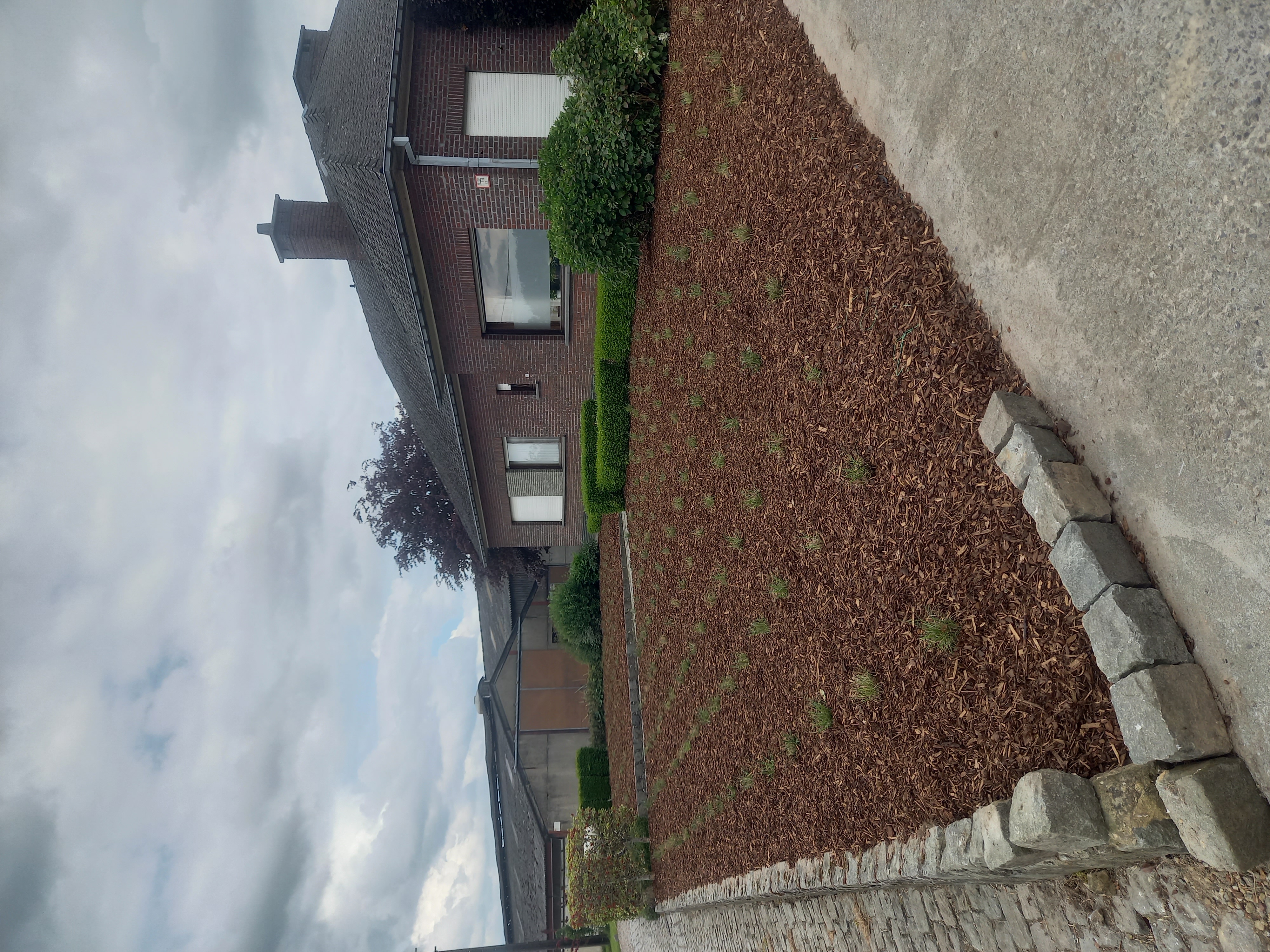 Tuinbeplanting