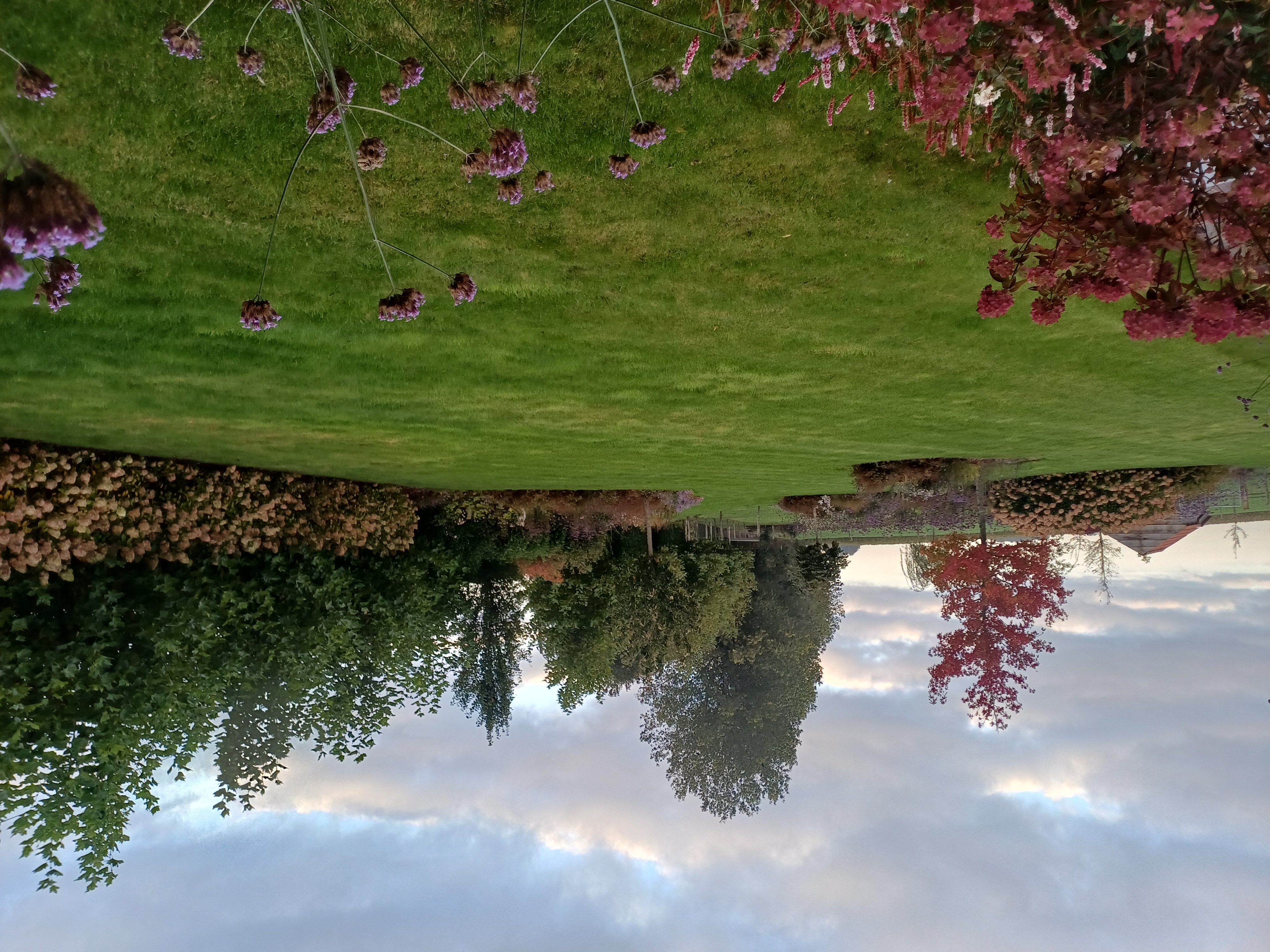 Beplanting aanplanten