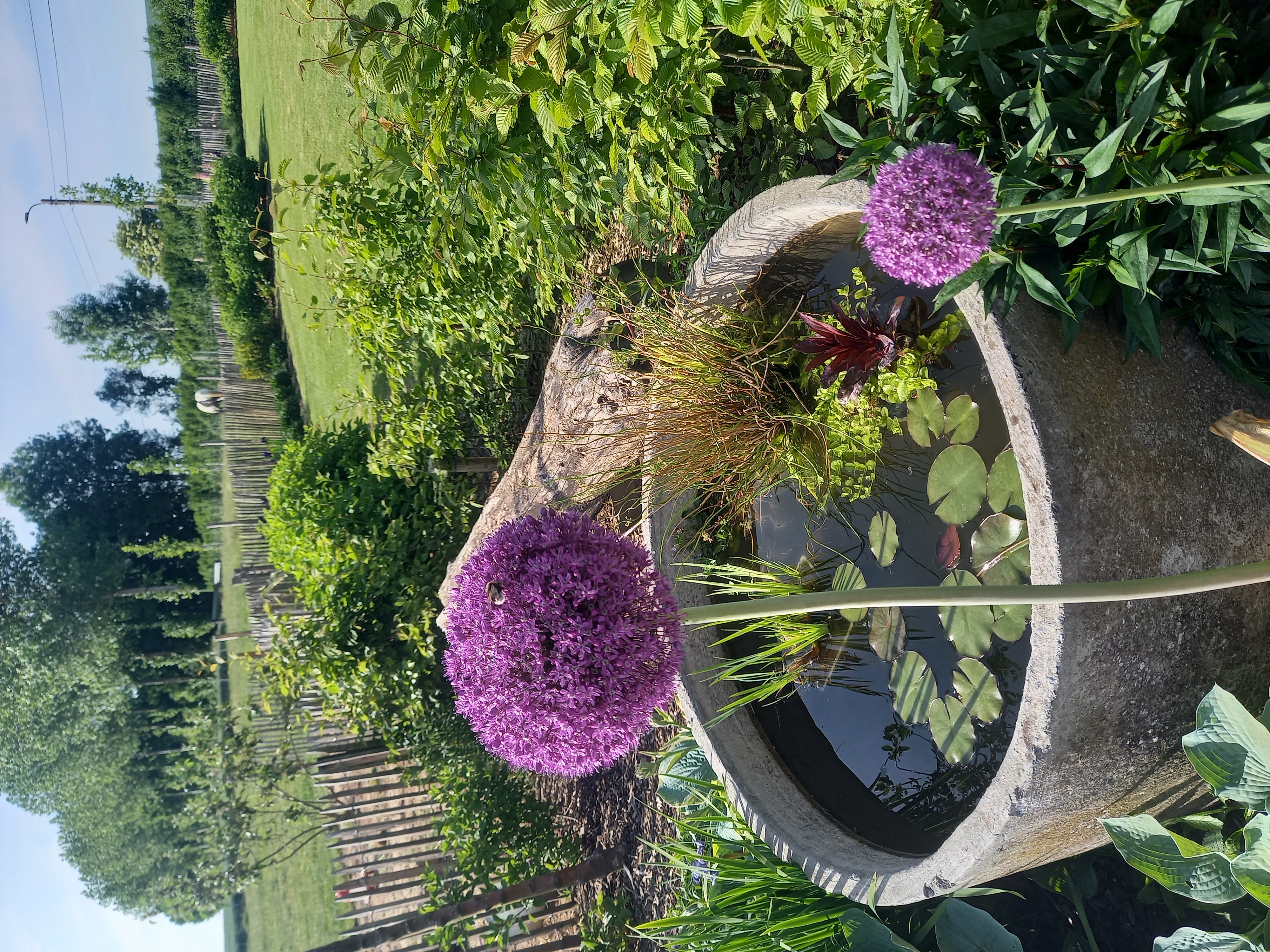 Borders beplanting