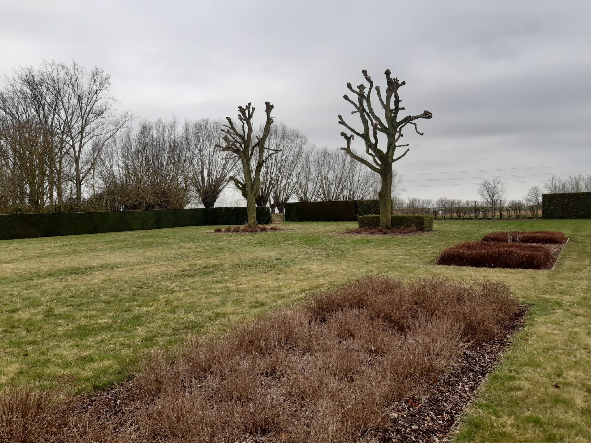 Snoeiwerk tuin